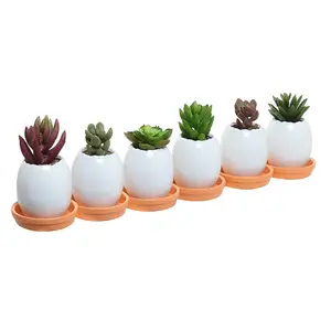 Mini Pots décoratifs en céramique, pot pour plantes succulentes, blanc en forme de coquille d'oeuf, offre spéciale