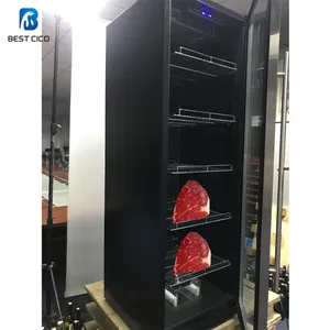 China Fabrikant Vrijstaande Droog Aged Vlees Kast Rundvlees Droog Veroudering Koelkasten Restaurant Apparatuur DA-460A