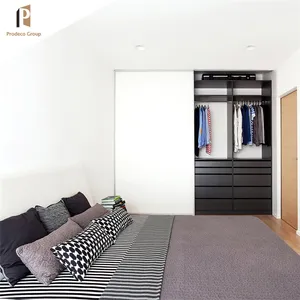 多功能卧室金属白色壁橱2门衣柜