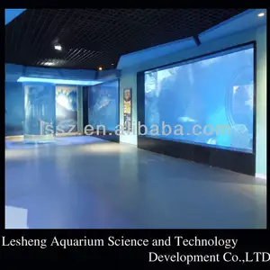 Grande acquario acrilico/vasca per i pesci perspex