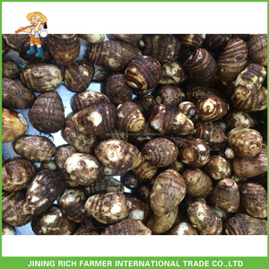 Chinois En Gros Prix Frais Communs Fidji <span class=keywords><strong>Taro</strong></span> - Product Image 6