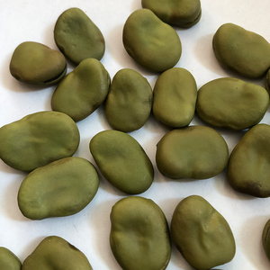 2020 Crop <span class=keywords><strong>Broad</strong></span> Beans Màu Xanh Lá Cây Fava Beans 70-80 Trung Quốc Nguồn Gốc - Product Image 3