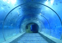 En fonte épaisse acrylique feuilles de plexiglas pour tunnel