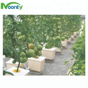 Bob en plastique pour pommes de terre, <span class=keywords><strong>bac</strong></span> <span class=keywords><strong>hydroponique</strong></span> portable bon marché, pour serre <span class=keywords><strong>hydroponique</strong></span>, néerlandais - Product Image 5