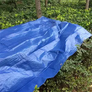 פלסטיק כיסוי ג 'אנקו Terpal tenda למטר