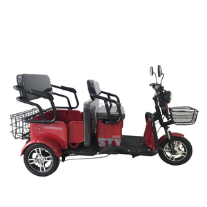 รถสามล้อไฟฟ้าสำหรับผู้โดยสาร 48V 500W 650W 800W ลดราคา - Product Image 1