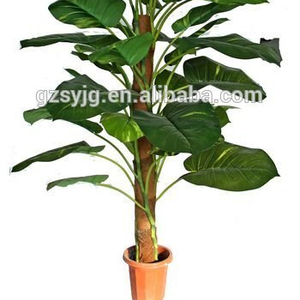 베스트 셀러 황금 <span class=keywords><strong>pothos</strong></span>/상록 화분 Araceae 아이비 arum 분재 돈 식물/플라스틱 실내 식물 장식 - Product Image 2