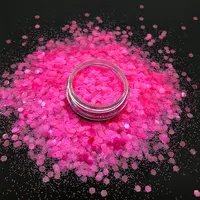 Poly Exclusive New Design Chunky Neon Hot Pink Mixed Glitter