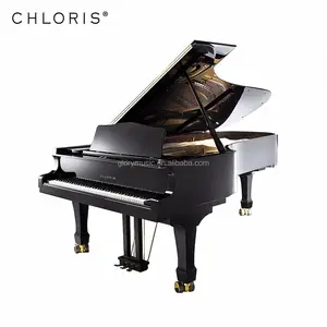 Hòa Nhạc Tốt Nhất Grand Piano Giá Chi Phí Cho Trang Trí Định Nghĩa 275 Để Bán 9 Feet