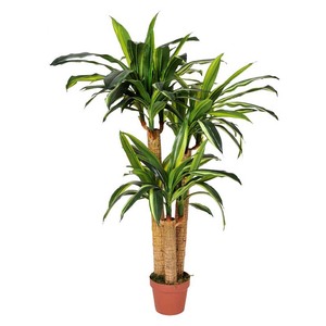 Fábrica hecho falso verde pequeño árbol artficial olla de Terre cuite de Vietnam Ficus microcarpa - Product Image 1