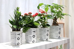 Decoraciones navideñas para <span class=keywords><strong>macetas</strong></span> y jardineras <span class=keywords><strong>de</strong></span> rayas, hecho a medida, venta al por mayor - Product Image 4