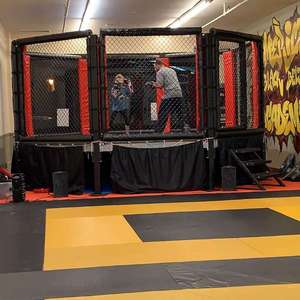 <span class=keywords><strong>Cage</strong></span> <span class=keywords><strong>UFC</strong></span> Factory, <span class=keywords><strong>cage</strong></span> de MMA standard internationale bon marché - Product Image 2