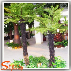 Nhà Cung Cấp Quảng Châu Giá Rẻ Cây Cọ Dương Xỉ Hoàng Gia Thường Xanh Ở Dubai Để Bán Lá Và Chi Nhánh Trang Trí Sân Vườn - Product Image 2