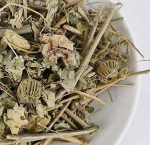 Piante Intere di Mallo Indiano Essiccate, Steli e Foglie Naturali di Abutilon Indicum - Product Image 2