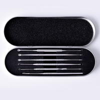 Lot de 6 curettes auriculaires en acier inoxydable pour le nettoyage des oreilles, kit de retrait de cérumen avec boîte de rangement, équipement de beauté, OEM disponible