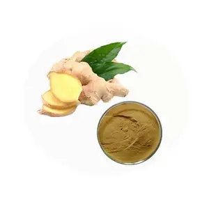 Herbal extract Ginger Extract Powder 1% Gingerols with natural and organic super root