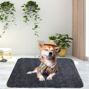 Tapis de sol en microfibre lavable en Machine, <span class=keywords><strong>absorbant</strong></span> l'eau, chaussures propres, tapis <span class=keywords><strong>magique</strong></span>, tapis de sol de cuisine en microfibre lavable - Product Image 2