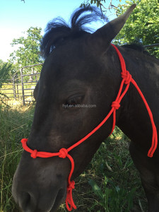 En gros équestre Cheval Licol - Product Image 2