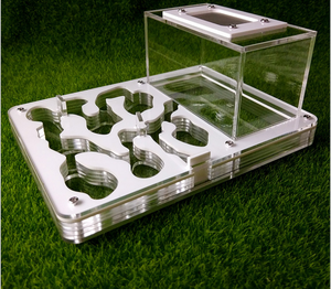 Helder Acryl Dier Huis Acryl Mierendoos - Product Image 3