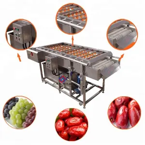 Automatic Fruit Jujube Date Olive Brush Washing Washer Cleaning Machine