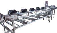 OEM Weegsorteerder voor fruit en groenten JZW-100g