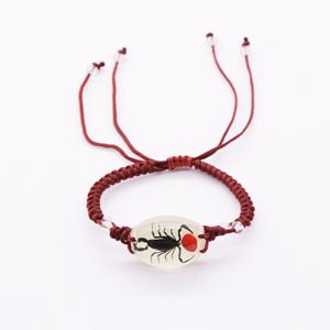 Braccialetti luminosi Fagiolo Rosso Naturale Ant Fatti A Mano Reale Insetto Bande di Mano Glow In The Dark Regali Degli Uomini Delle Donne Del Braccialetto Amico gioielli - Product Image 4