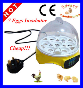 moins <span class=keywords><strong>cher</strong></span> à petite échelle automatique mini à couver incubateur d'oeufs <span class=keywords><strong>de</strong></span> poules des œufs <span class=keywords><strong>de</strong></span> <span class=keywords><strong>poule</strong></span> pour 7 ew9-7 pour la vente - Product Image 1