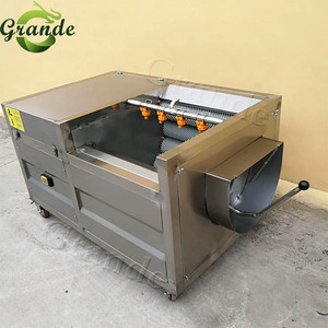 Khoai tây Khoai Tây Chiên Giòn Sản Xuất Đông Lạnh Khoai Tây Chiên Thiết Bị Dây Chuyền Sản Xuất - Product Image 6