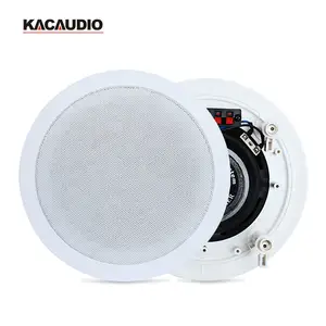 Système de sonorisation PA Haut-parleur HI-FI de plafond de 6.5 pouces 40w avec tweeter coaxial