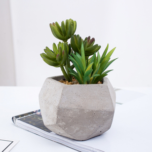 En gros <span class=keywords><strong>pas</strong></span> <span class=keywords><strong>cher</strong></span> bonsaï plantes artificielle <span class=keywords><strong>mini</strong></span> succulent avec ronde pot de ciment - Product Image 1