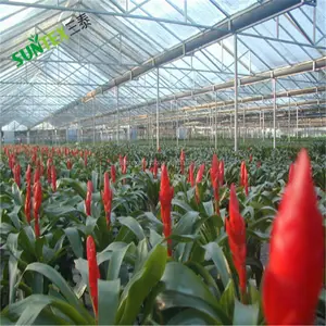 85% Horticultural Aluminium Sterk Reflecterende Hdpe Schaduwdoek, Zon Outdoor Kas Cover Netting 3*50 M