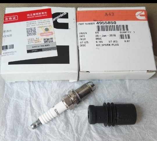 Wholesale Cummins C8.3 GAS CGE 6CT Natural Gas Engine Spark Plug  