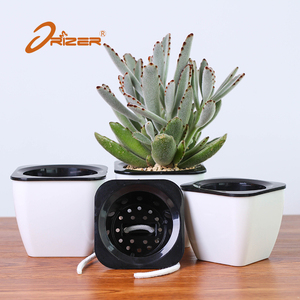 Hot trên mẫu miễn phí giá rẻ Quảng trường vườn chậu trồng - Product Image 2