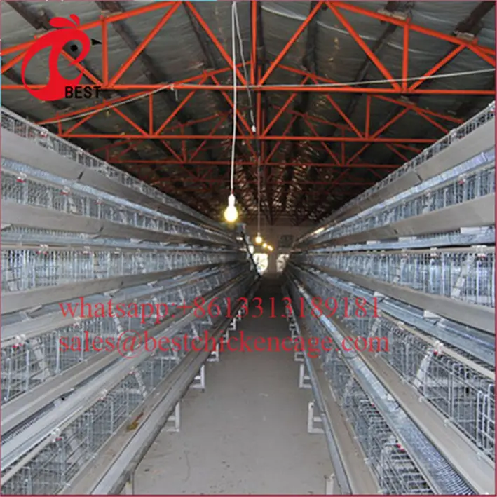 Poulailler pour élevage de poulet, 200 couches, prix le plus bas, cage d'élevage de haute qualité