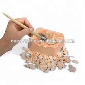 2021 Đồ Chơi Giáo Dục Khoa Học Gốc Bộ Đồ Khảo Cổ DIY Đào Vỏ Sò Biển Của Bạn Bộ Dụng Cụ Khai Quật Lắp Ráp Vòng Đeo Tay Cho Trẻ Em - Product Image 5