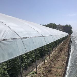 ฟิล์มพลาสติกอุโมงค์เดี่ยว พืชสวนบ้านสีเขียว ฟิล์มซับ ฟิล์มพลาสติกเรือ<span class=keywords><strong>น</strong></span>กระจก UV ใส - Product Image 1