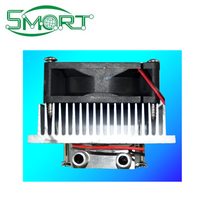 Kit de réfrigération semi-conducteur Peltier DIY pour électronique intelligente, climatisation à eau, réfrigérateur électronique 12V, dissipateur CPU