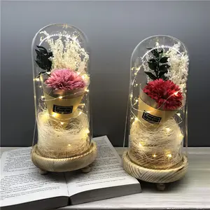 Romantic Artificial Carnation Silk Flower in Glass Dome with Led Light 4 color silk flower gift for Mother's Day
