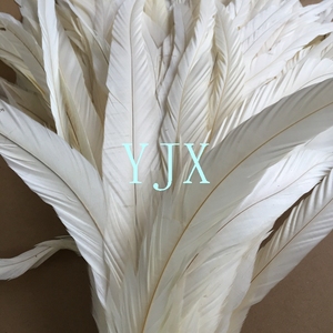 Plumes de poulet blanches longues blanchies en gros, plumes de queue de coq - Product Image 5
