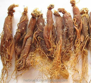 Rebanadas de <span class=keywords><strong>ginseng</strong></span> rojo de Corea secas, nivel Premium, para venta - Product Image 3