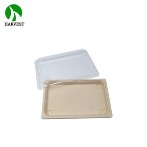 Boîte d'emballage alimentaire en pulpe de canne à sucre de bambou pour sushis à emporter - Product Image 5