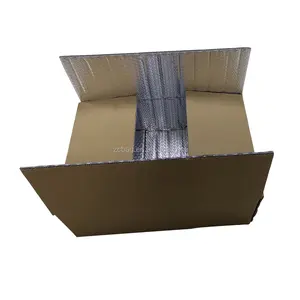 Kühlen barriere schaum aluminium folie thermo hot isolierung box trauben blueberry verpackung karton well papier box