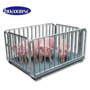 जानवरों के लिए 2025 उच्च गुणवत्ता वाले पशुधन स्केल पशुओं के पैमाने - Product Image 4