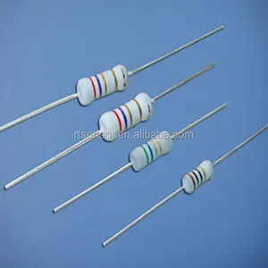 Wirewouond Resistor Flame proof RF10 Coating Sicherungs widerstände 5%