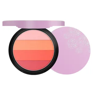 private label 4 in 1mineral blush powder waterproof long lasting blush