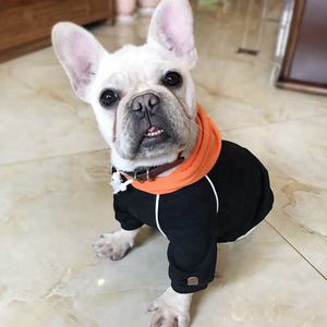 GMTPET Custom Cotton <span class=keywords><strong>Dog</strong></span> Hoodie Mehrfarbige Haustier bekleidung für den Frühling OEM ODM Factory Großhandel Hunde bekleidung Zubehör - Product Image 2