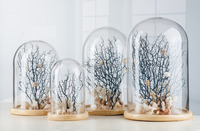Dôme en verre avec base, écologique, durable, design moderne, utilisation en intérieur pour plantes, fleurs, cadeau pour appareil photo