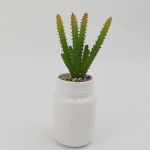 <span class=keywords><strong>Amazon</strong></span> Offre Spéciale succulentes artificielles bonsaï pots petite émaillée <span class=keywords><strong>pot</strong></span> en céramique cactus plante <span class=keywords><strong>pot</strong></span> - Product Image 4