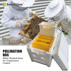 Herramientas y Equipos de Apicultura, Caja de Fecundación, Caja de Cría de Abejas, Caja Nuc, Colmena de Poliestireno - Product Image 4