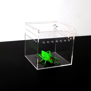Mini Cage à reptile en plexiglas pour les animaux, bac en acrylique transparente, à motif d'insecte, accessoire de Terrarium - Product Image 1